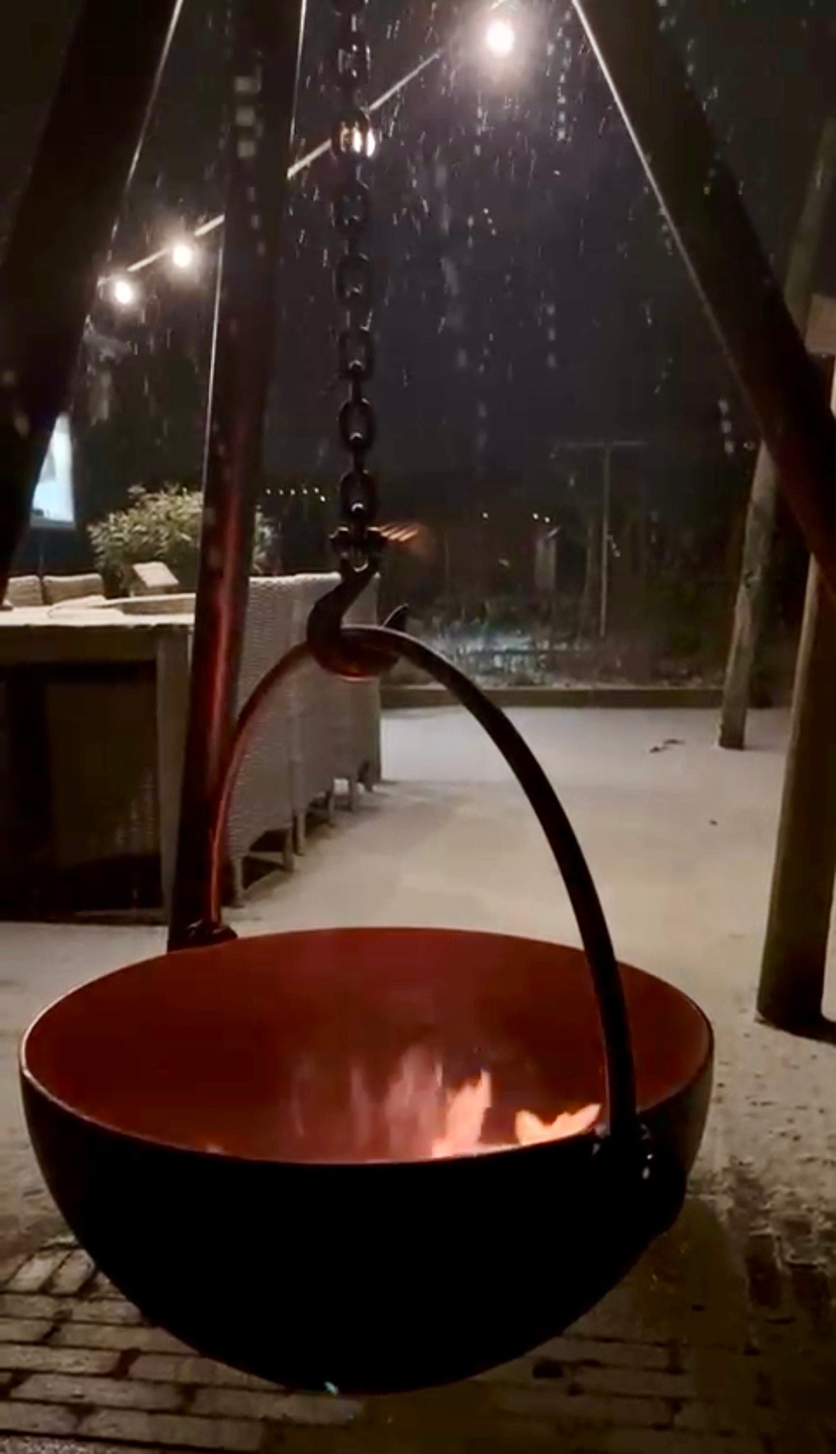 Wild, EU and Netherlands Bound!