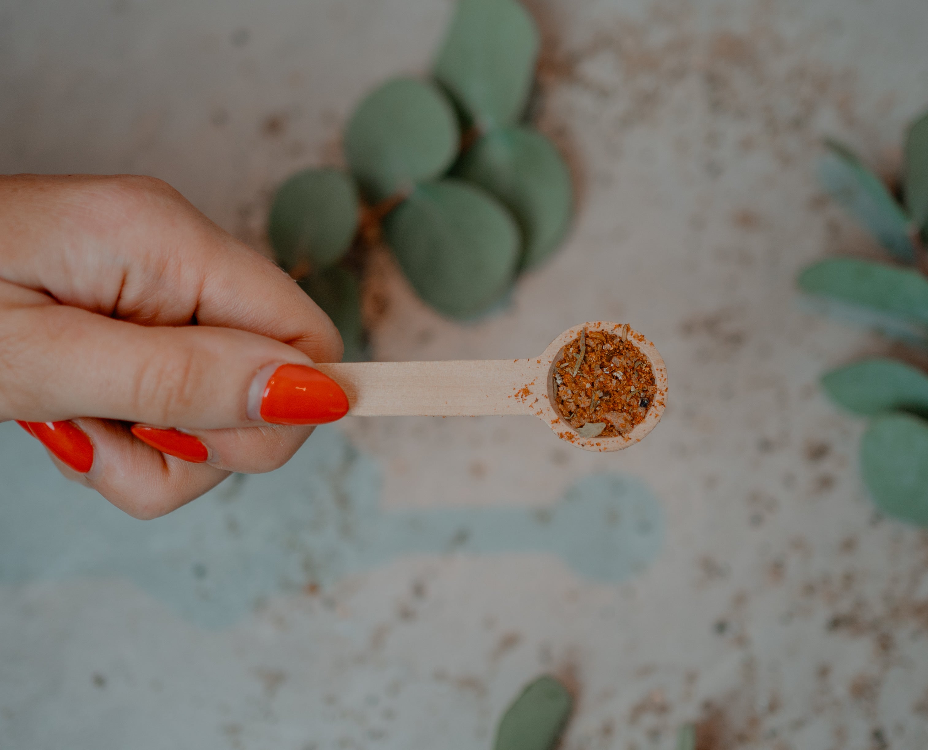 SPICELAB 3 pack Meat Lovers